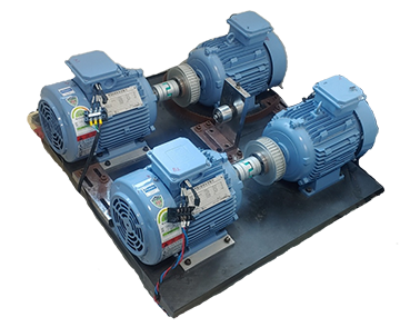 3-Phase Induction Motor	
